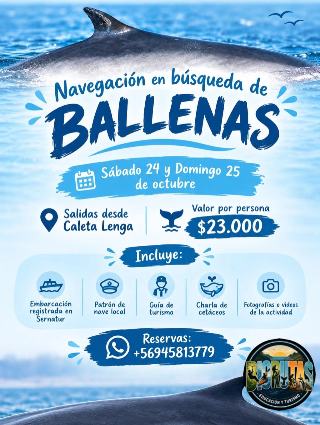 Navegación en Búsqueda de Ballenas