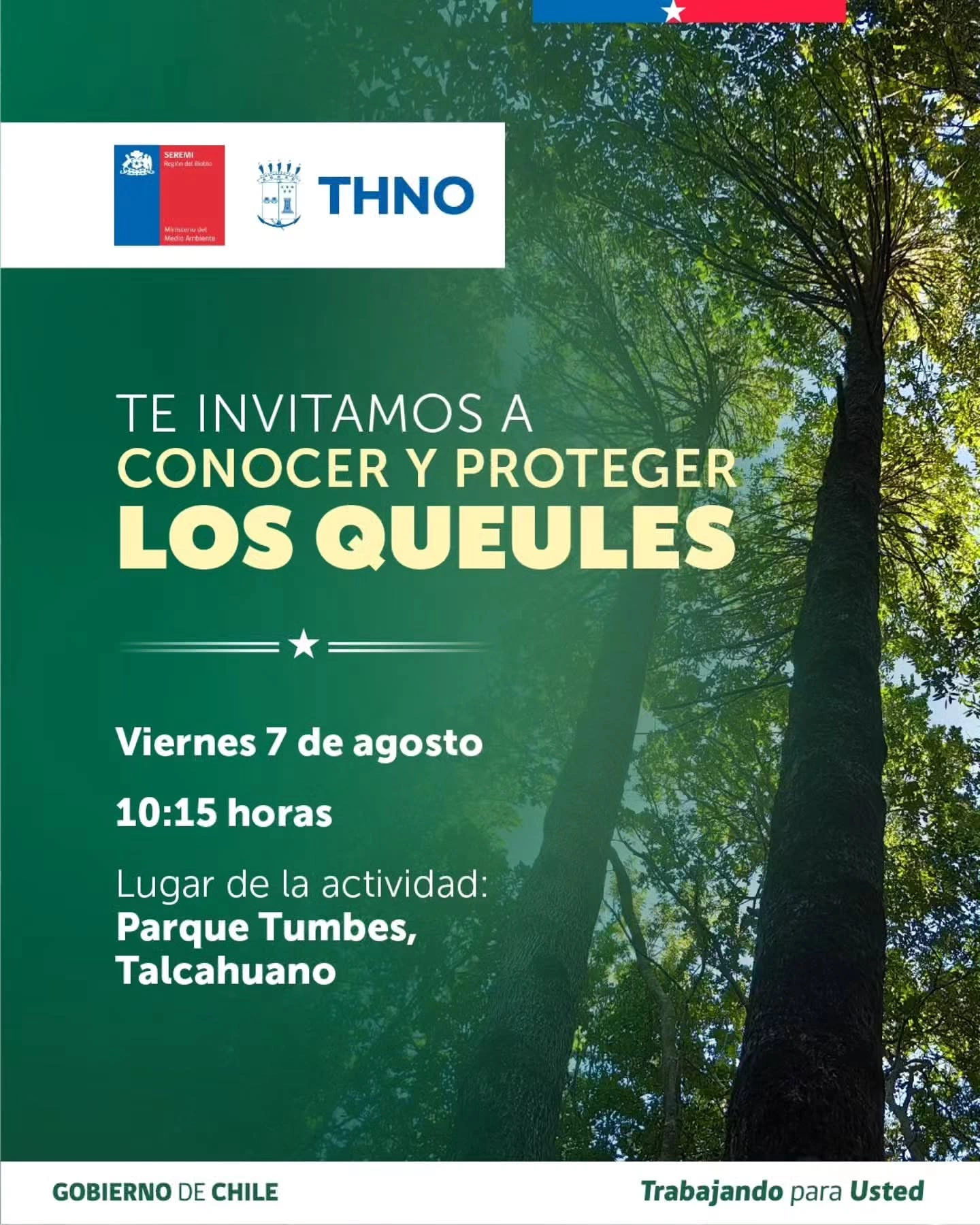 Primer Taller Participativo: Te invitamos a conocer y proteger los Queules