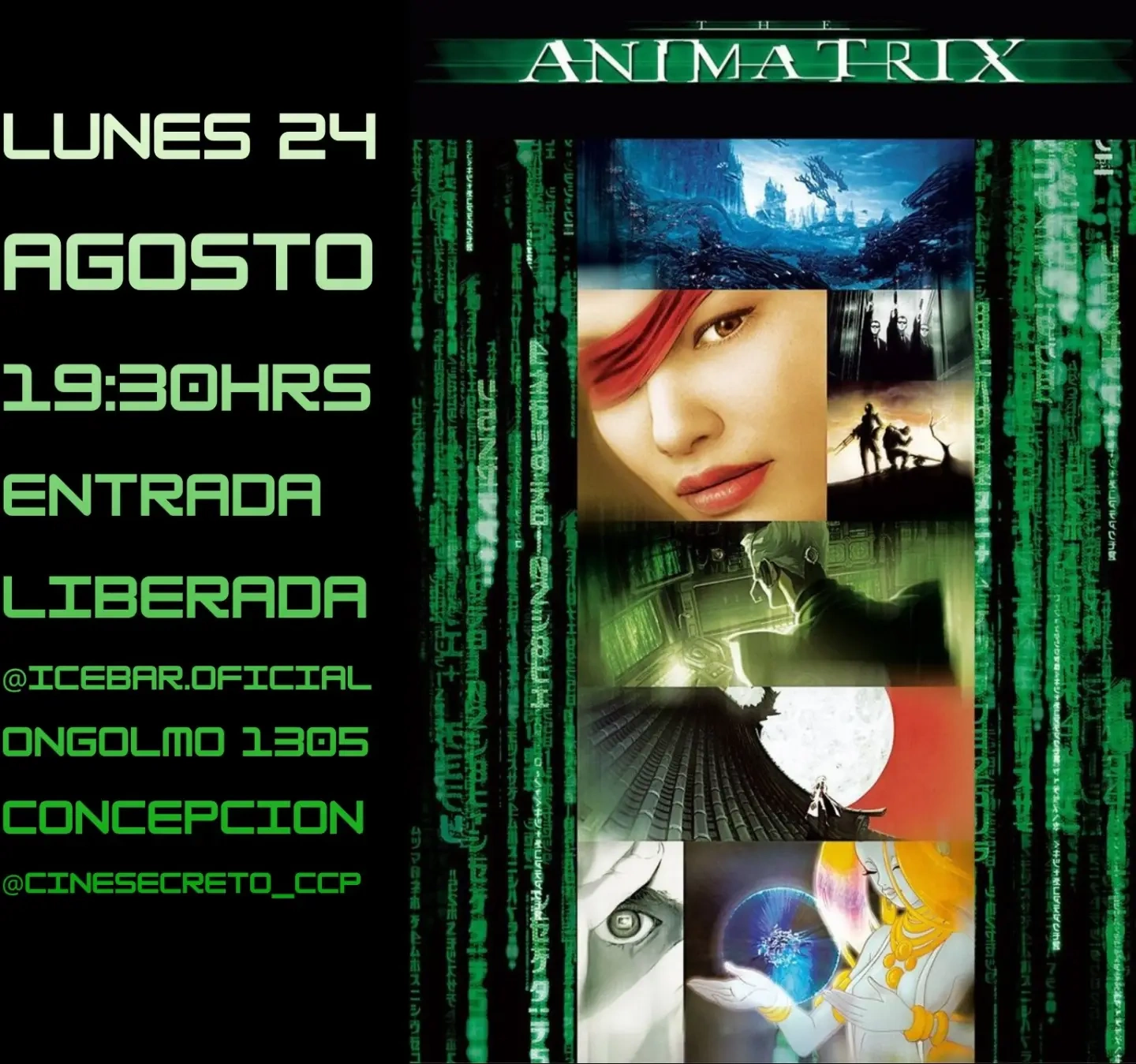 ANIMATRIX HITOUNG-DONIEN