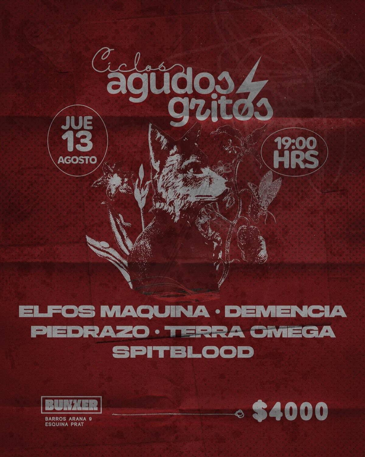 Ciclos Agudos Gritos