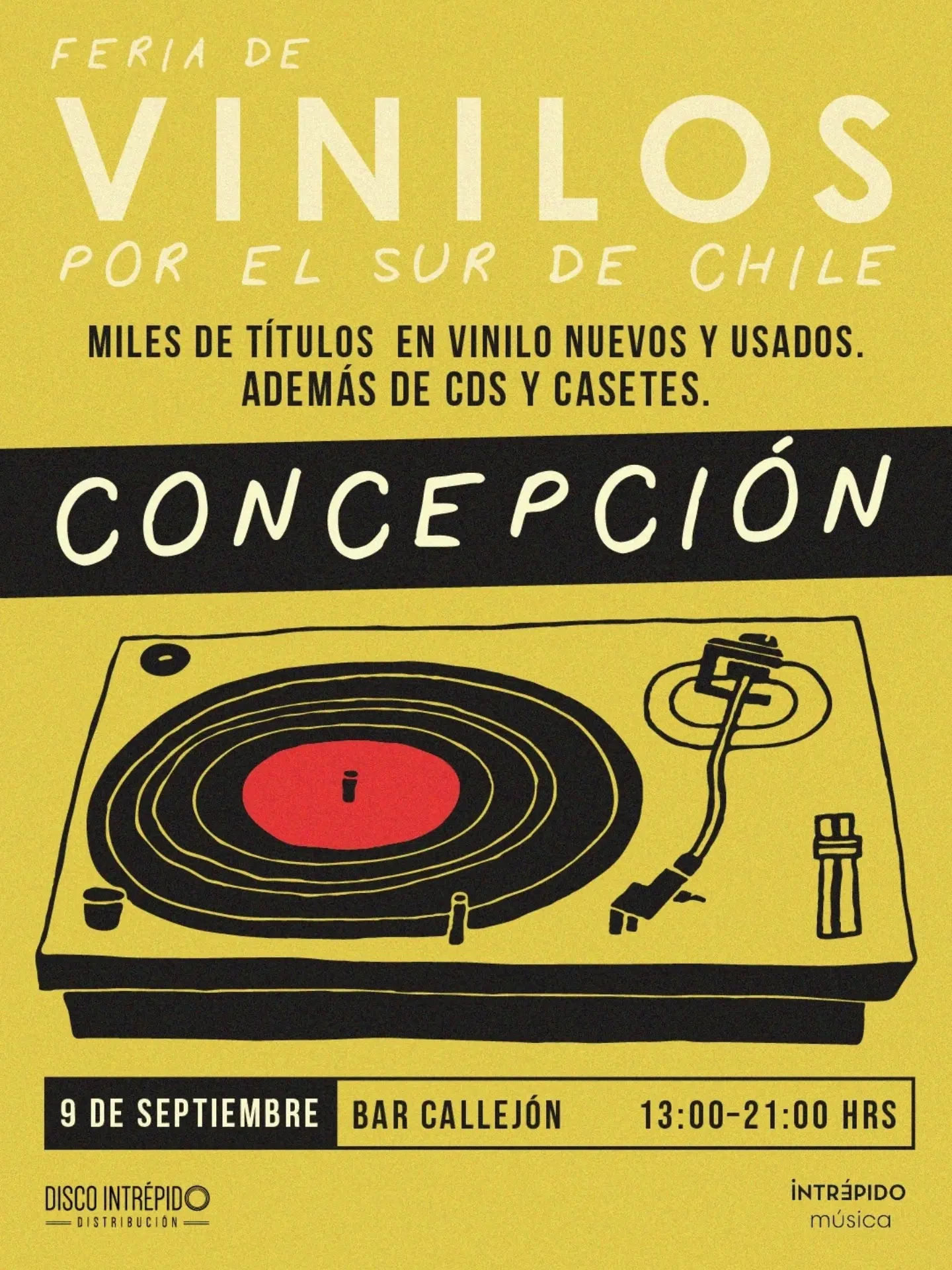 Feria de Vinilos por el Sur de Chile