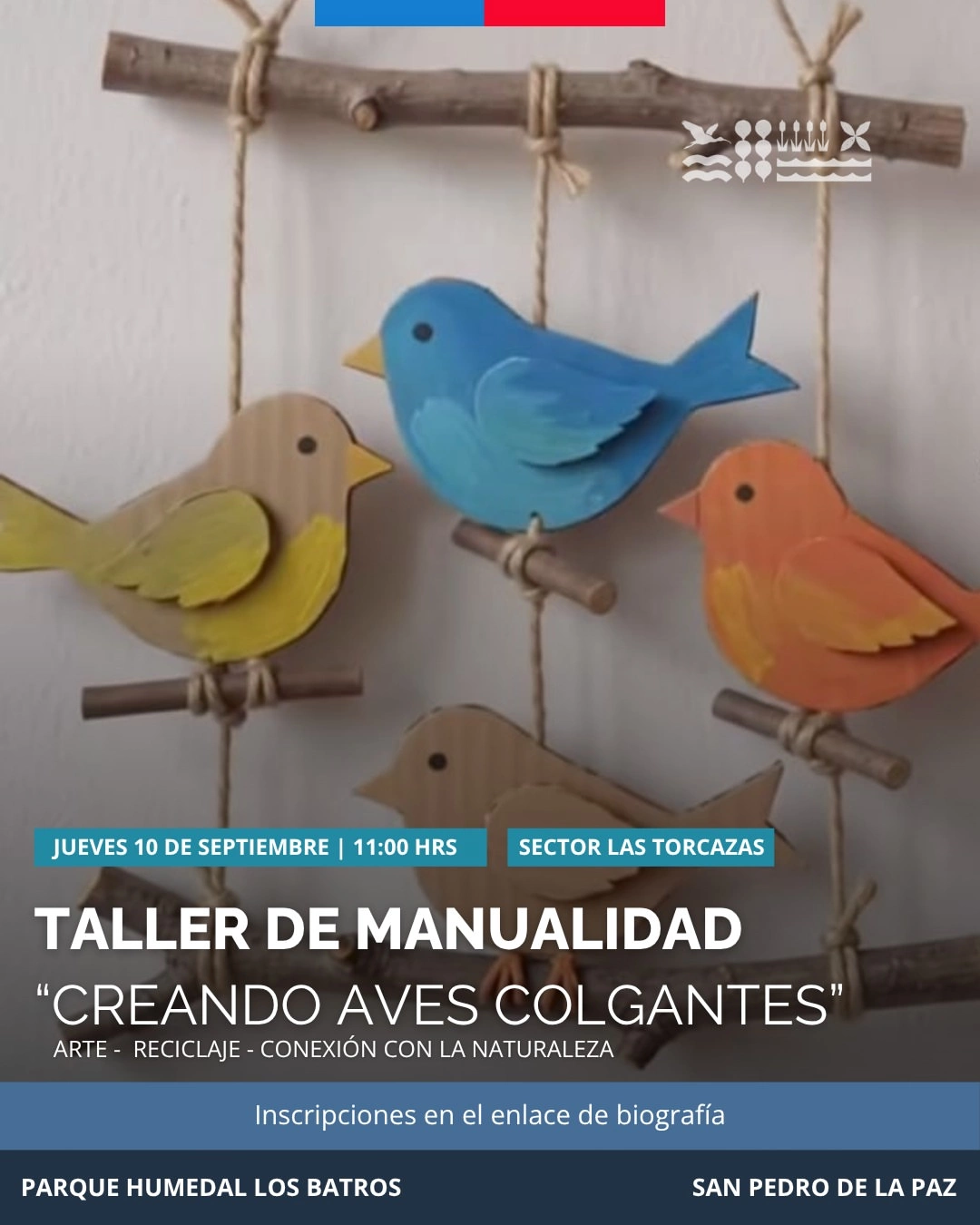 Taller 'Creando Aves Colgantes'