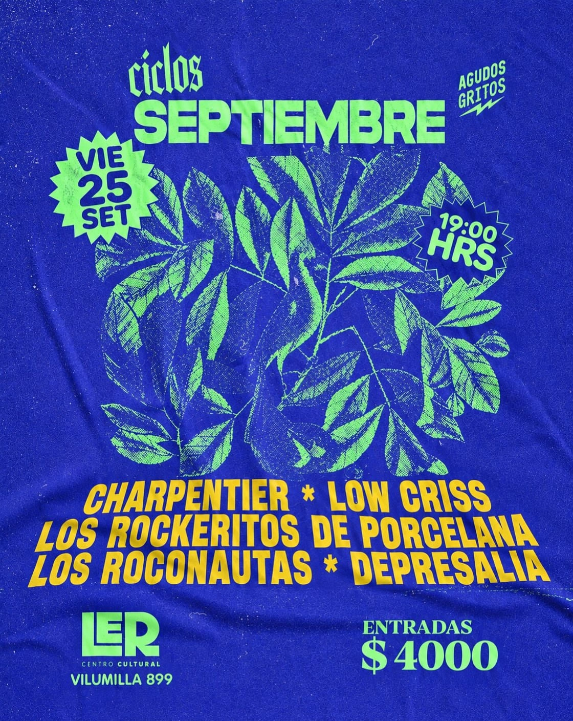 Ciclos Agudos Gritos