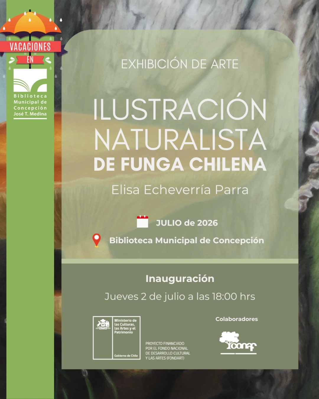 Inauguración de la Exposición 'Ilustración Naturalista de Funga Chilena'