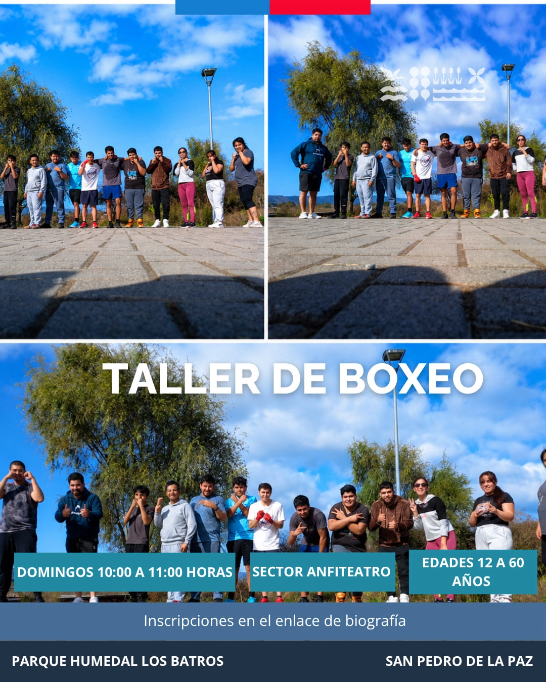 Taller de Boxeo