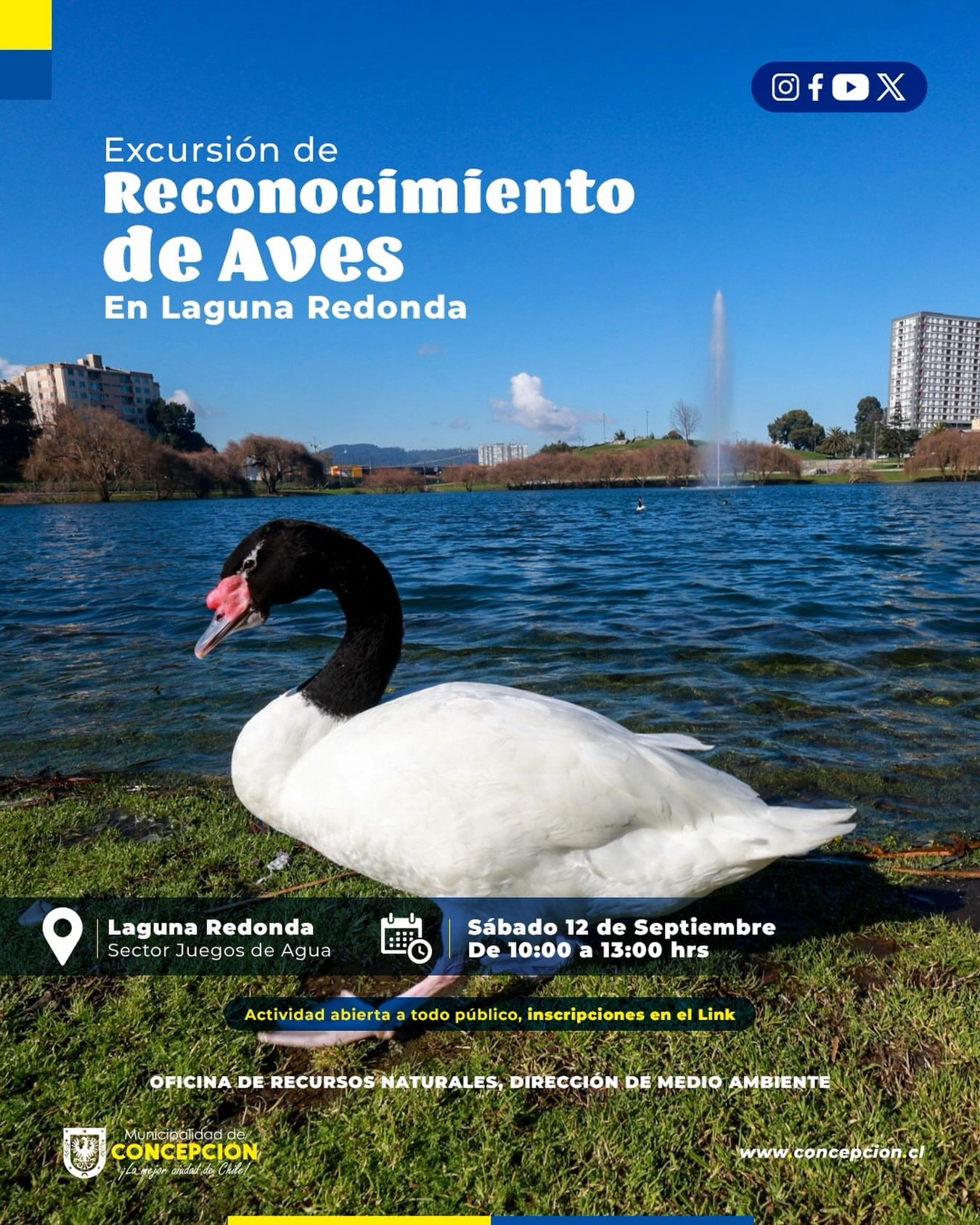 Excursión de Reconocimiento de Aves en Laguna Redonda