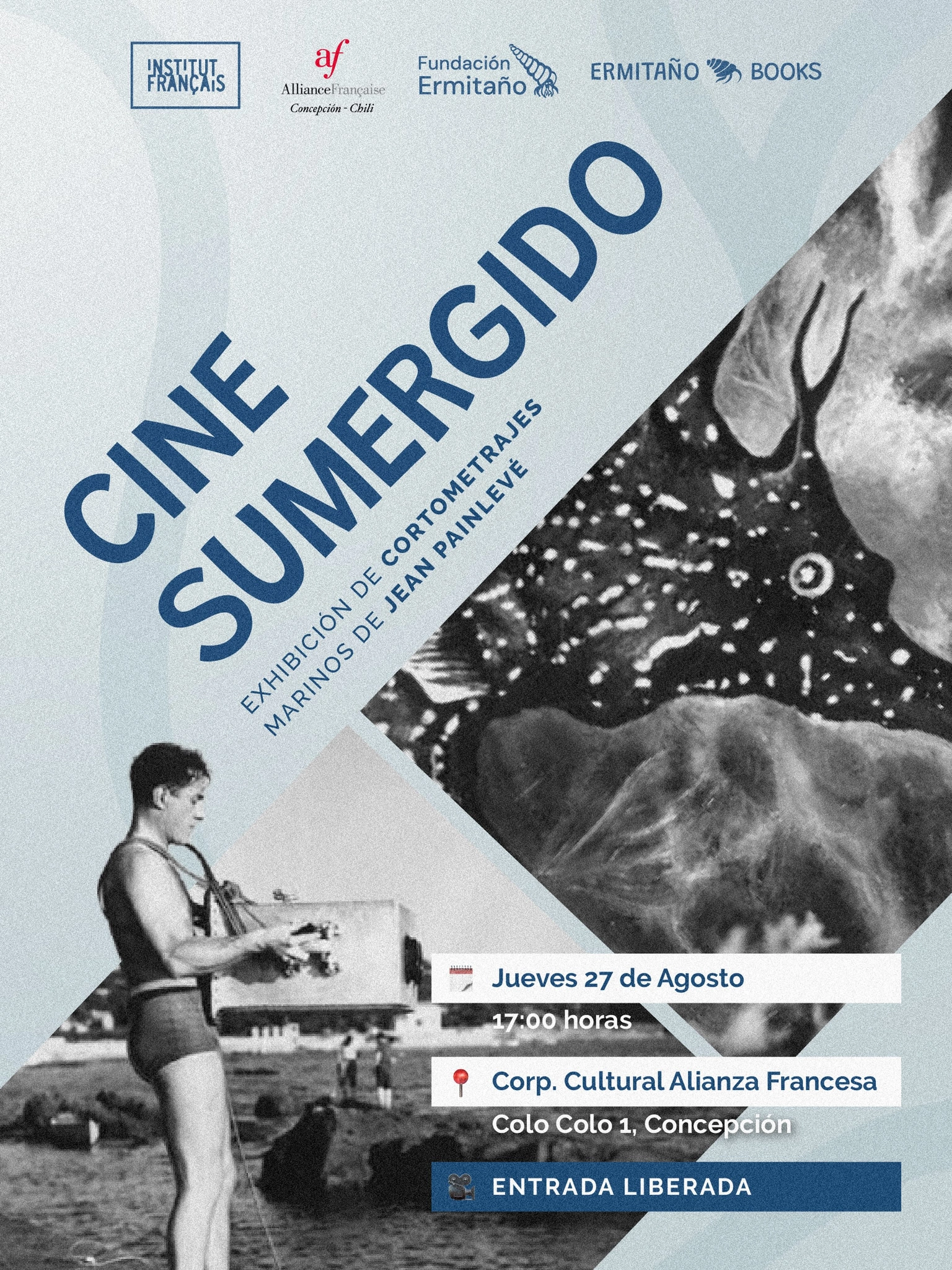 MARINOS DE JEAN PAINLEVÉ - EXHIBICIÓN DE CORTOMETRAJES