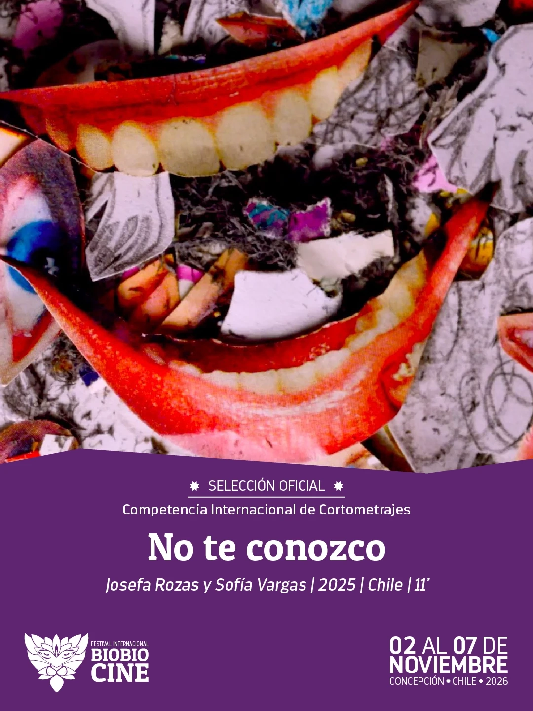 Festival BioBioCine: No Te Conozco 
