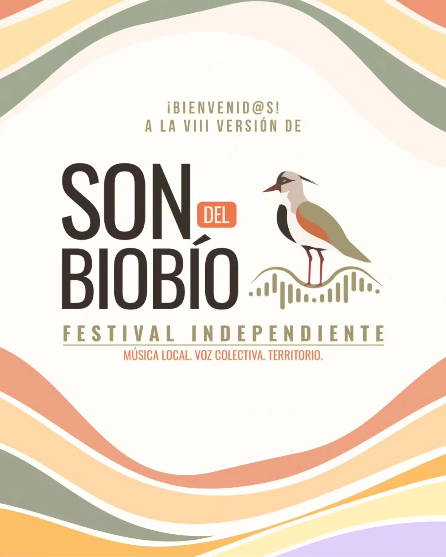 VIII Versión del Son Biobío Festival