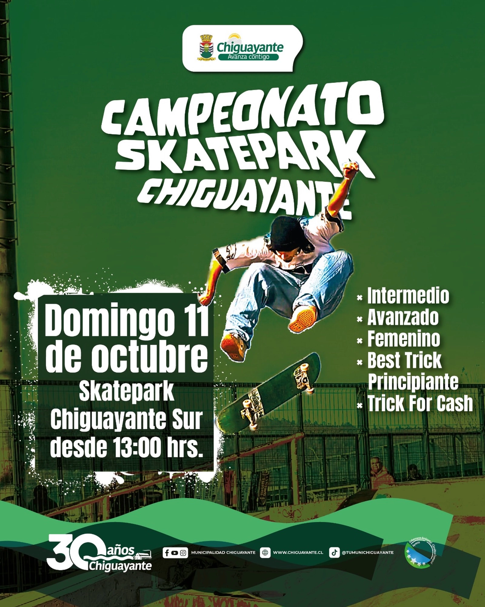 Campeonato Skatepark Chiguayante