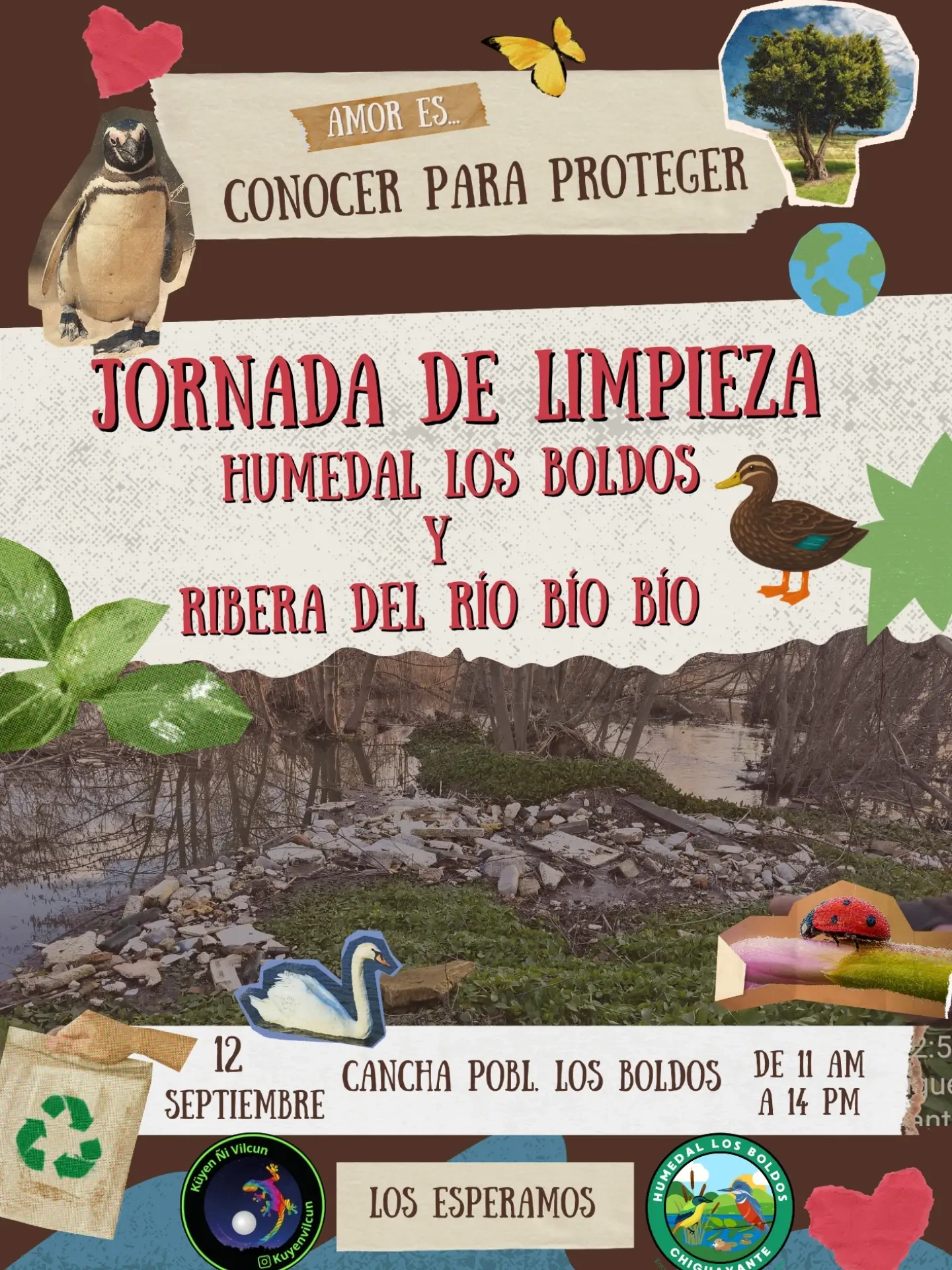 Jornada de Limpieza en Humedal Los Boldos