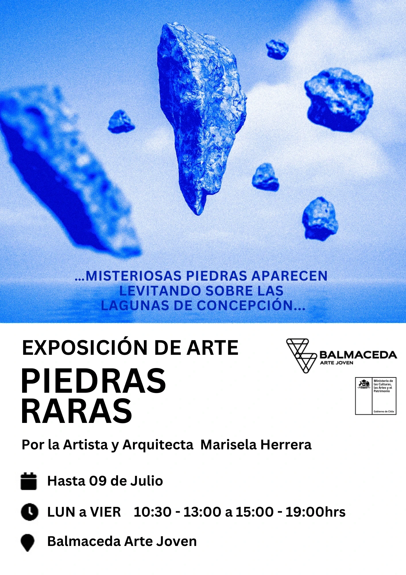 Piedras Raras, Exposición De Arte