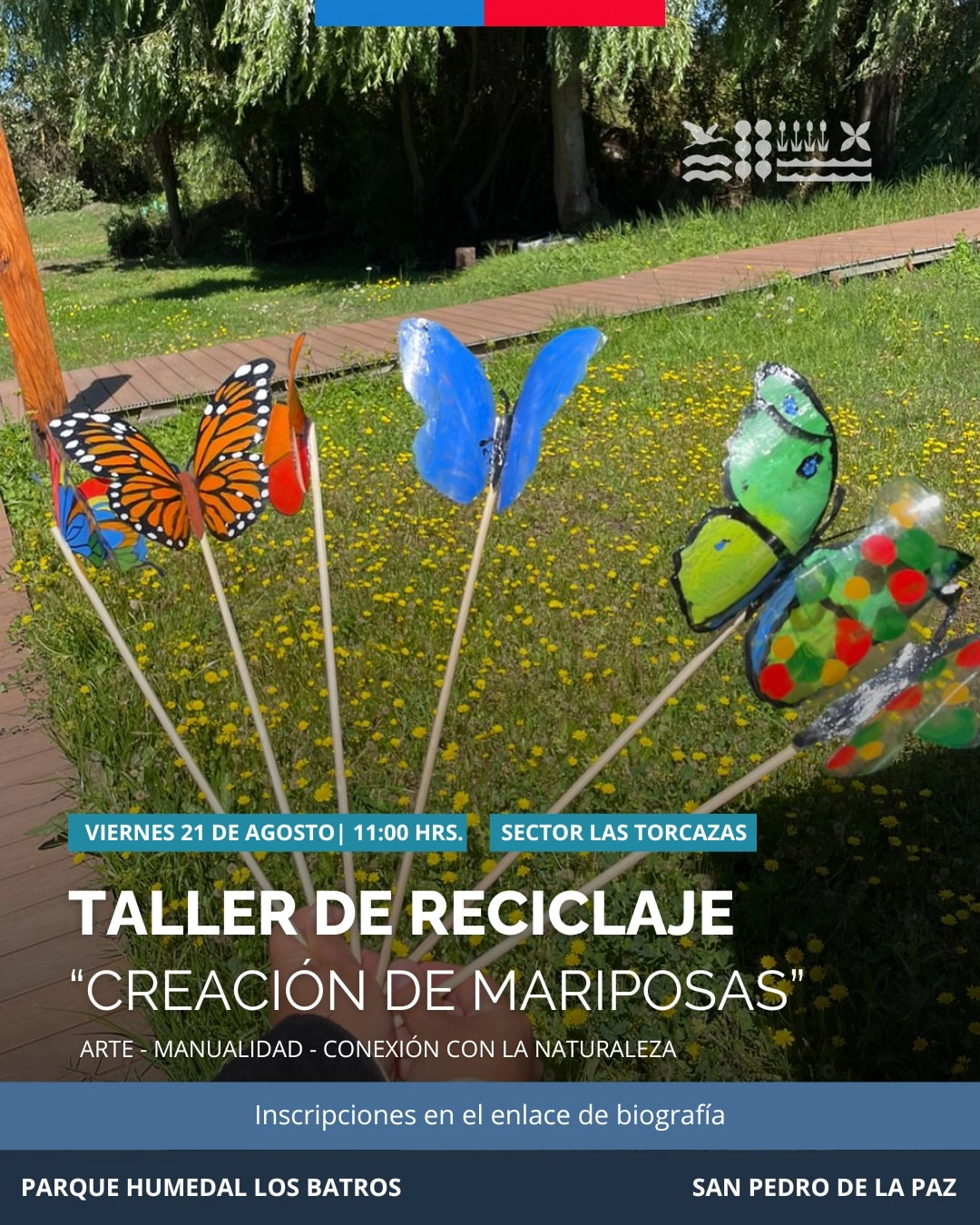 Taller de Creación de Mariposas con Plástico